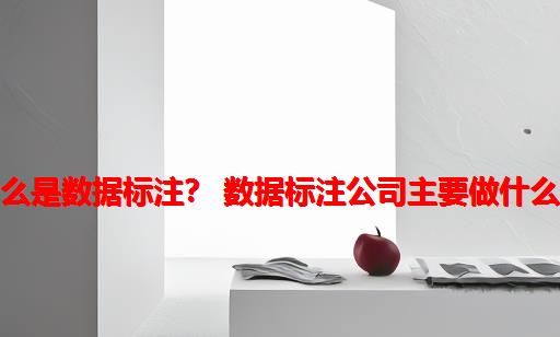 什么是数据标注？ 数据标注公司主要做什么？